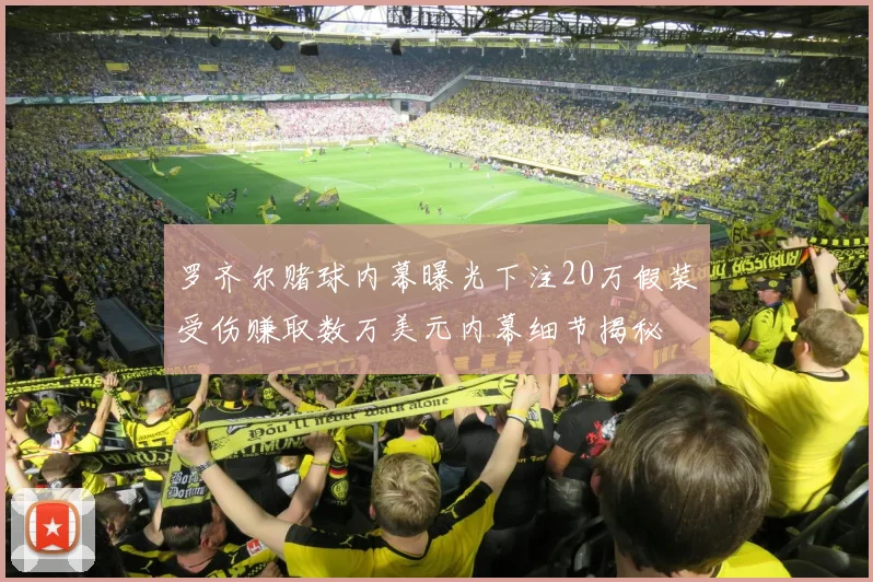 罗齐尔赌球内幕曝光下注20万假装受伤赚取数万美元内幕细节揭秘