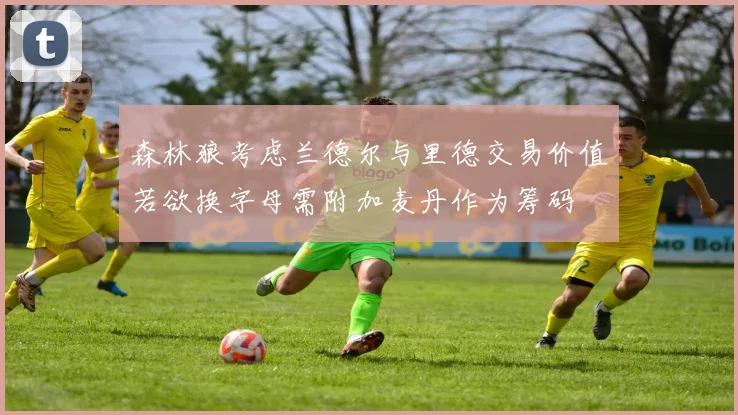 森林狼考虑兰德尔与里德交易价值若欲换字母需附加麦丹作为筹码