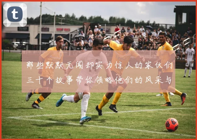 那些默默无闻却实力惊人的家伙们三十个故事带你领略他们的风采与传奇